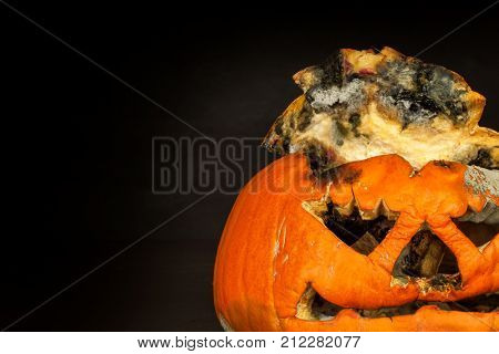 Moldy pumpkin. End of Halloween celebrations. The decaying pumpkin. Moldy food