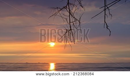 Extremely beautiful sunset and branch on beach