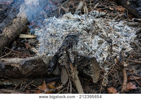 fire place in forrest close up view with grey ash and small fire autumn