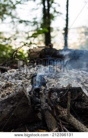 fire place in forrest close up view with grey ash and small fire autumn