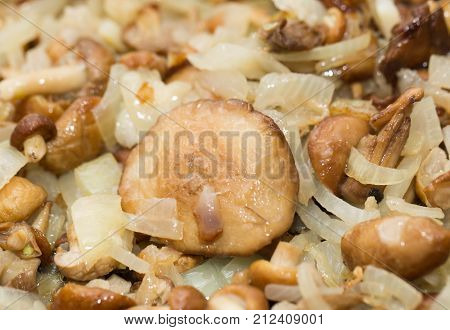 mushrooms and onions . In the park in nature