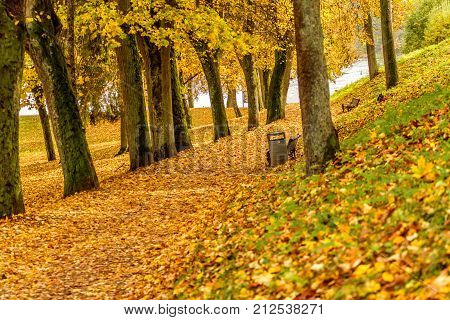 Park In Birstonas