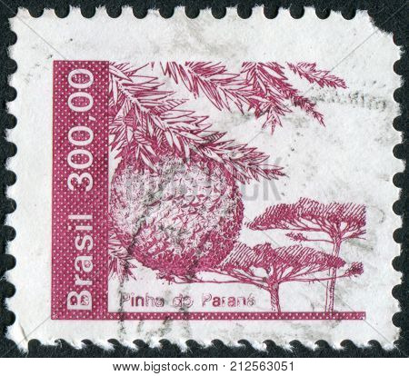 Brazil - Circa 1984: Postage Stamp Printed In Brazil, Shows Conifer Cone Of Araucaria Angustifolia,