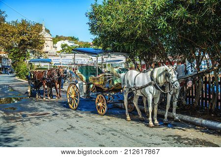 ISTANBUL TURKEY: Horse Carriages are waiting for passengers at Princess Islands Burgazada Island on October 9 2017