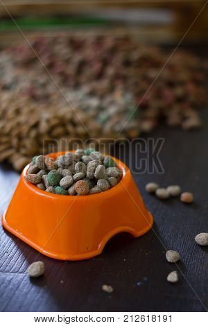 Plastic bowl with dry pet food on black wooden board