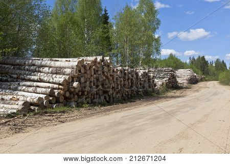 Stacks of birch logs close to the country road. Road in Verhovazhskom district Vologda region Russia