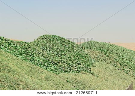 A Mountain Of Small Fragments Of Green Glass From Broken Bottles For Recycling Near A Glass Bottles 