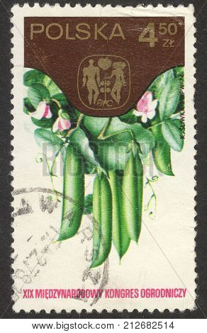 MOSCOW RUSSIA - CIRCA OCTOBER 2017: a post stamp printed in POLAND shows peas the series 