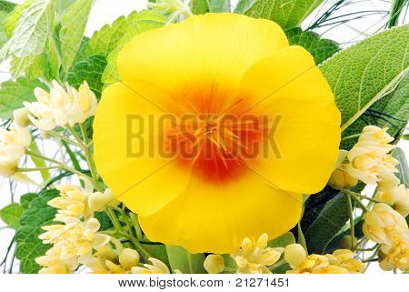 flor
