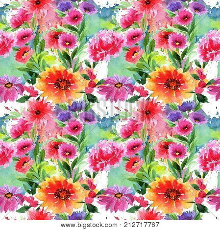 Wildflower aster flower pattern in a watercolor style. Full name of the plant: aster. Aquarelle wild flower for background, texture, wrapper pattern, frame or border.