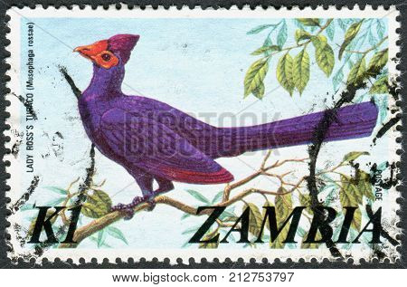 ZAMBIA - CIRCA 1975: A stamp printed in Zambia shows a bird Ross's Turaco (Musophaga rossae) circa 1975
