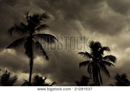 Monsone tropicale Skyline