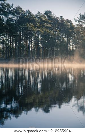 A beautiful swamp pond with a raising mist during the sunrise. Quagmire in a frowen wetlands in autumn. Bright light with sun flares. Beautiful scenery in Latvia.