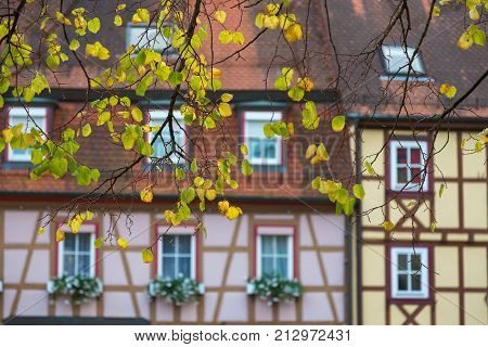 Yellow autumn linden leaves on the background of historical traditional old German house in Bad Wimpfen