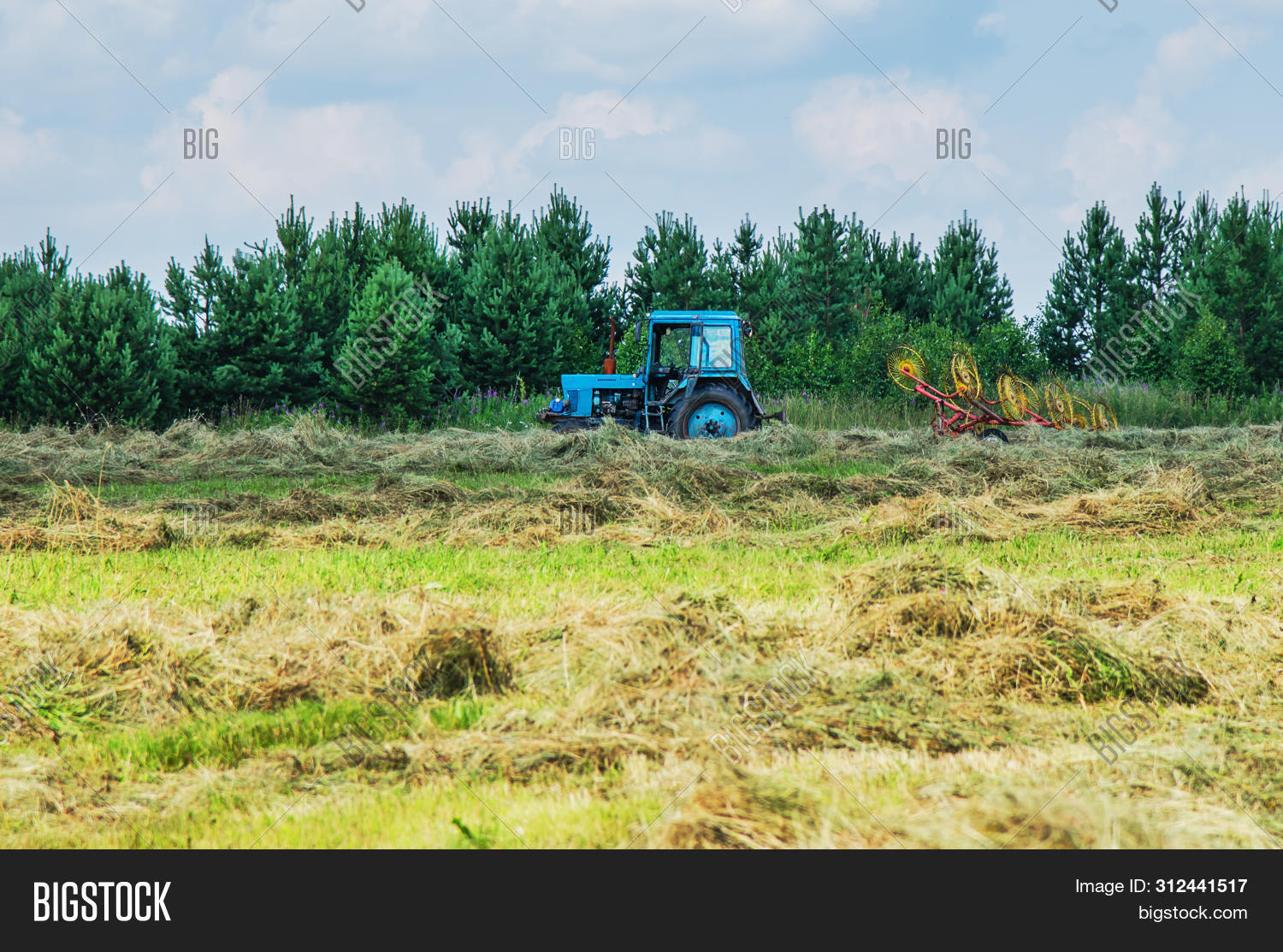Hay Harvesting Help Image & Photo (Free Trial) Bigstock