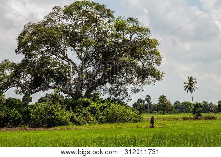 Silhouette Of Unrecognizable Woman In A Long Scarf On The Background Of The African Landscape Near T