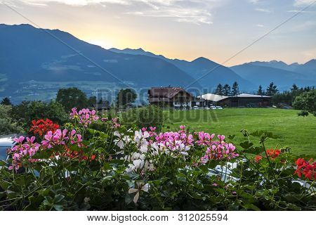 The Flowers And Villa Of Brixen