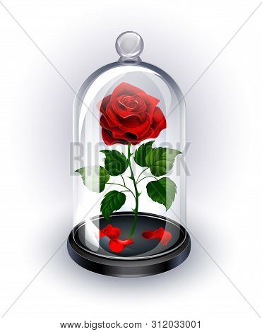 Red, Eternal Rose Under Sparkling Crystal Dome On White Background.