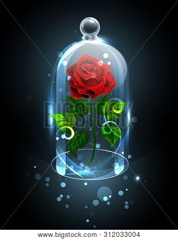 Red, Eternal Rose Under A Sparkling Crystal Dome On A Dark Background. Red Rose.