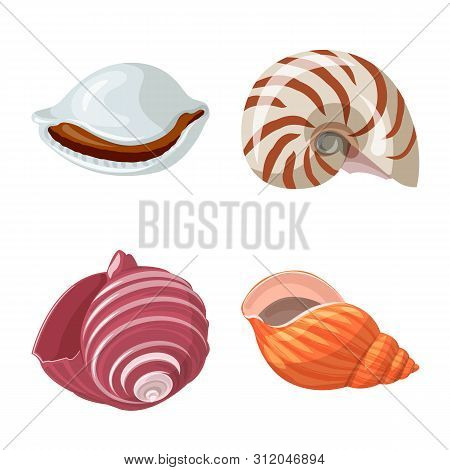 Vector Illustration Of Seashell And Mollusk Logo. Set Of Seashell And Seafood Stock Vector Illustrat