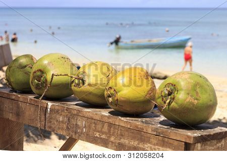 Coconuts On Dravuni Island, Fiji, South Pacific