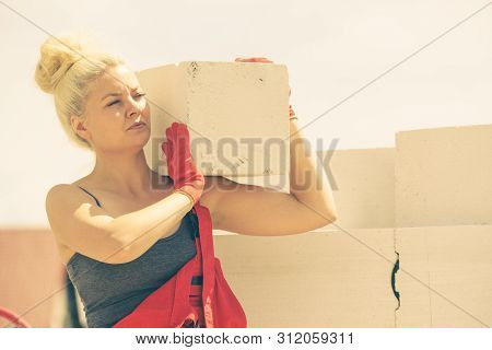Woman Working With Airbricks