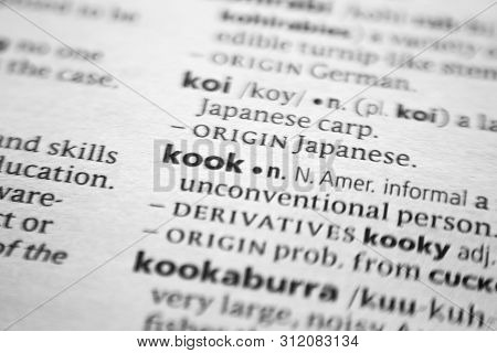 Word Or Phrase Kook In A Dictionary