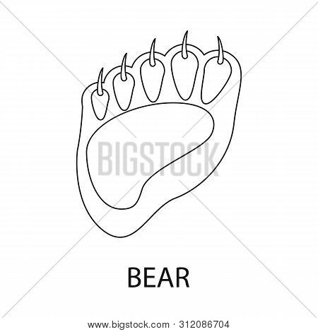 Vector Illustration Of Bear And Paw Sign. Set Of Bear And Brown Vector Icon For Stock.