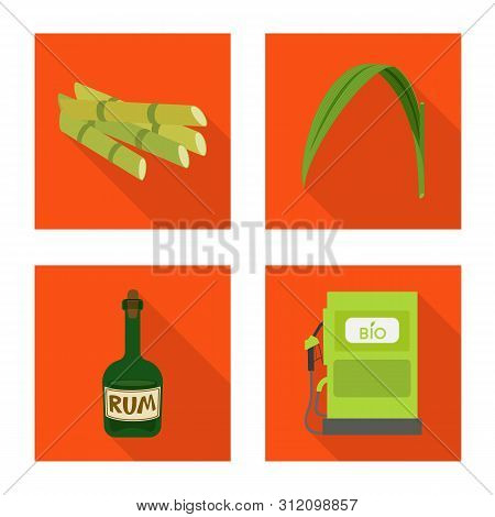Vector Design Of Plant And Plantation Icon. Set Of Plant And Agriculture Stock Symbol For Web.