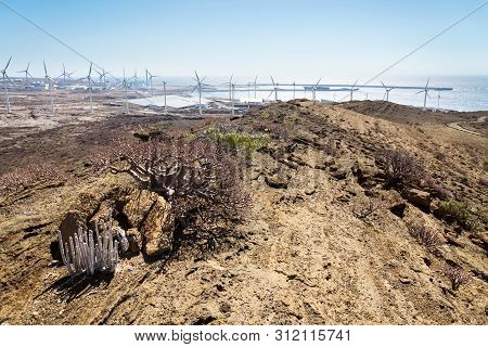 White Turbines At Wind Farm With Power Station And Sea In Background, Arid Landscape On Sunny Summer