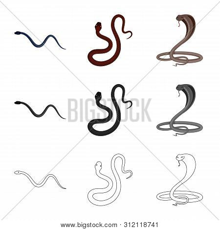 Vector Design Of Mammal And Danger Icon. Collection Of Mammal And Medicine Vector Icon For Stock.