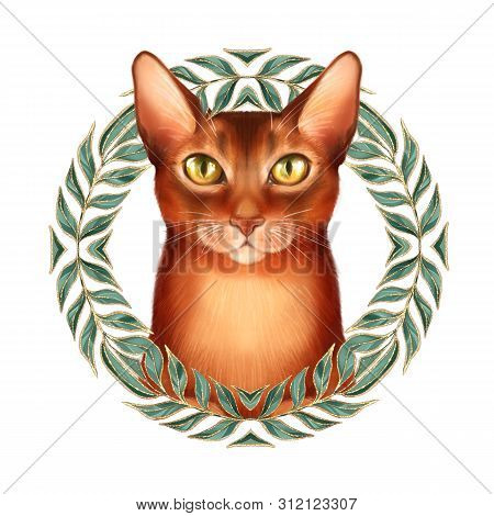 Ginger Cat, Isolated On White. Cute Anomal Illustration