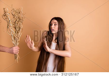 Portrait Of Her She Nice-looking Attractive Lovely Gloomy Scared Lady Refusing To Take Dried Flower 