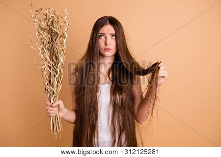 Portrait Of Her She Nice-looking Attractive Lovely Grumpy Displeased Lady Holding In Hand Dried Flow