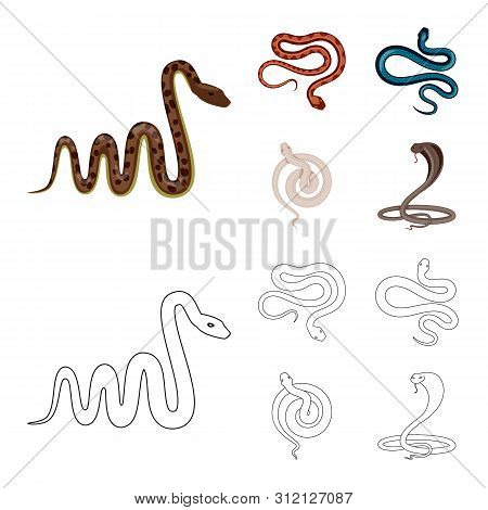Vector Design Of Mammal And Danger Logo. Collection Of Mammal And Medicine Stock Symbol For Web.