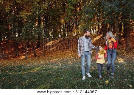 Fall Family Leisure. Back View Of Parents Walking With Daughter In Nature Park. Trees, Faded Grass, 