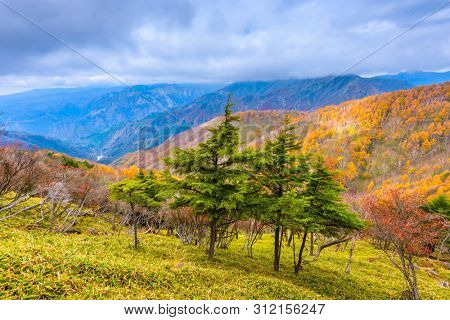 Landscape in Nikko National Park in Tochigi, Japan.