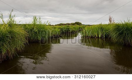 Beautiful Wetland In The Natural Park Of Saint Lyphard (france)