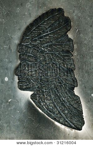 หัวอินเดีย