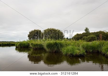 Beautiful Wetland In The Natural Park Of Saint Lyphard (france)