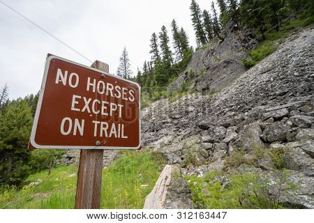 Sign For No Horses Except On Trail, Restricting Horses And Horseback Riders From The Area. Taken In 