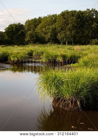 Beautiful Wetland In The Natural Park Of Saint Lyphard (france)