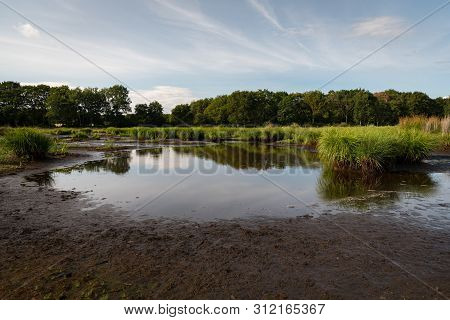 Beautiful Wetland In The Natural Park Of Saint Lyphard (france)
