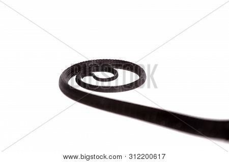 Black Tree Monitor Lizard On White Background
