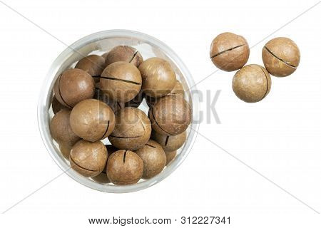 Macadamia Nuts Isolated On White. Inshell Whole Macadamia Nuts In A Transparent Jar