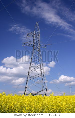 Torre