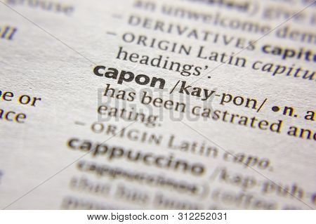 Word Or Phrase Capon In A Dictionary