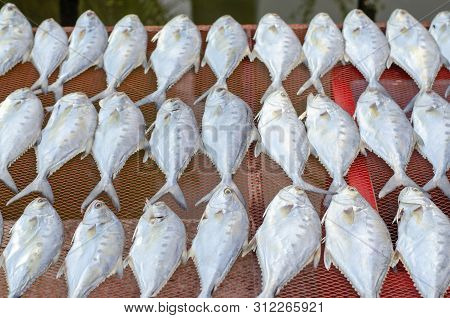 Thai Salted Fish Put Up To Dry On The Net, Food Preservation, Salted Fish Is Fish Cured With Dry Sal