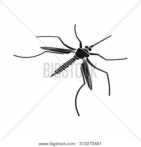 Vector Design Of Gnat And Mosquito Icon. Set Of Gnat And Virus Stock Symbol For Web.