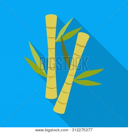 Vector Illustration Of Bamboo And Green Sign. Set Of Bamboo And Botanical Stock Symbol For Web.